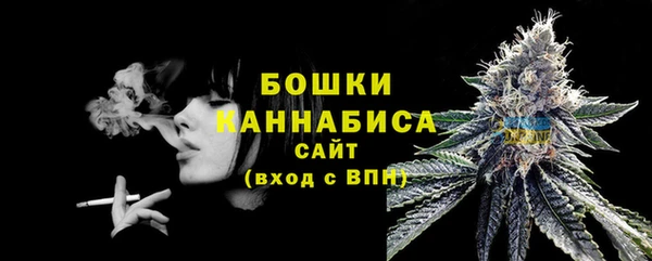 эйфоретик Тавда