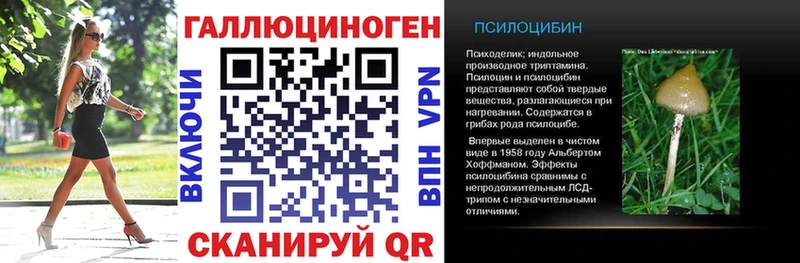 Псилоцибиновые грибы GOLDEN TEACHER  хочу   Енисейск 